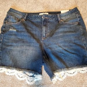 NWT Lane Bryant shorts